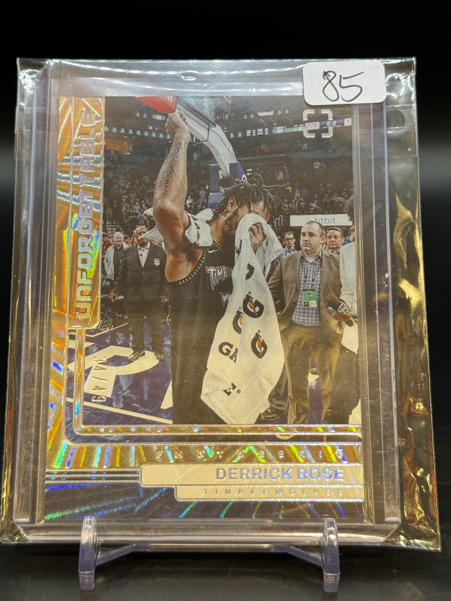 2024-2025 Panini Photogenic NBA Derrick Rose Timberwolves / 34/49
