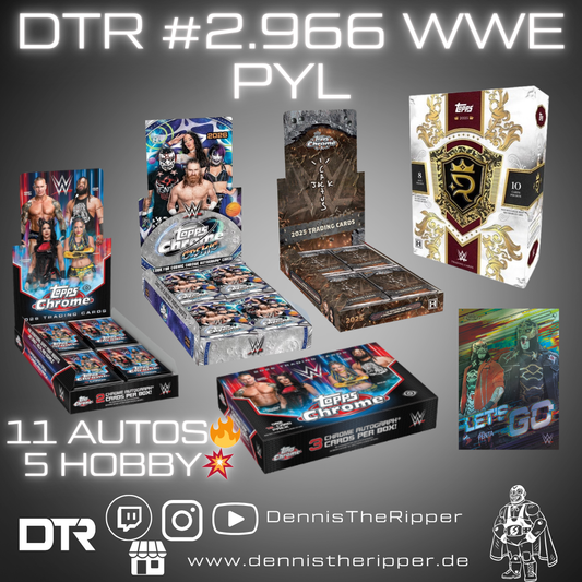 DTR #2966 WWE All Mixer 5 Boxer PYL Group Break