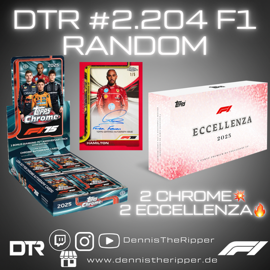DTR #2204 F1 Mixer Random Group Break 50% Filler