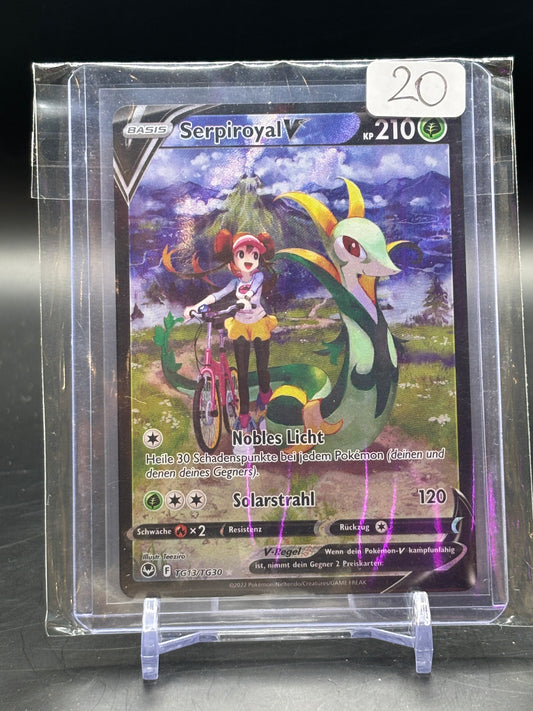 2022 PKM Serpiroyal TG13-TG30