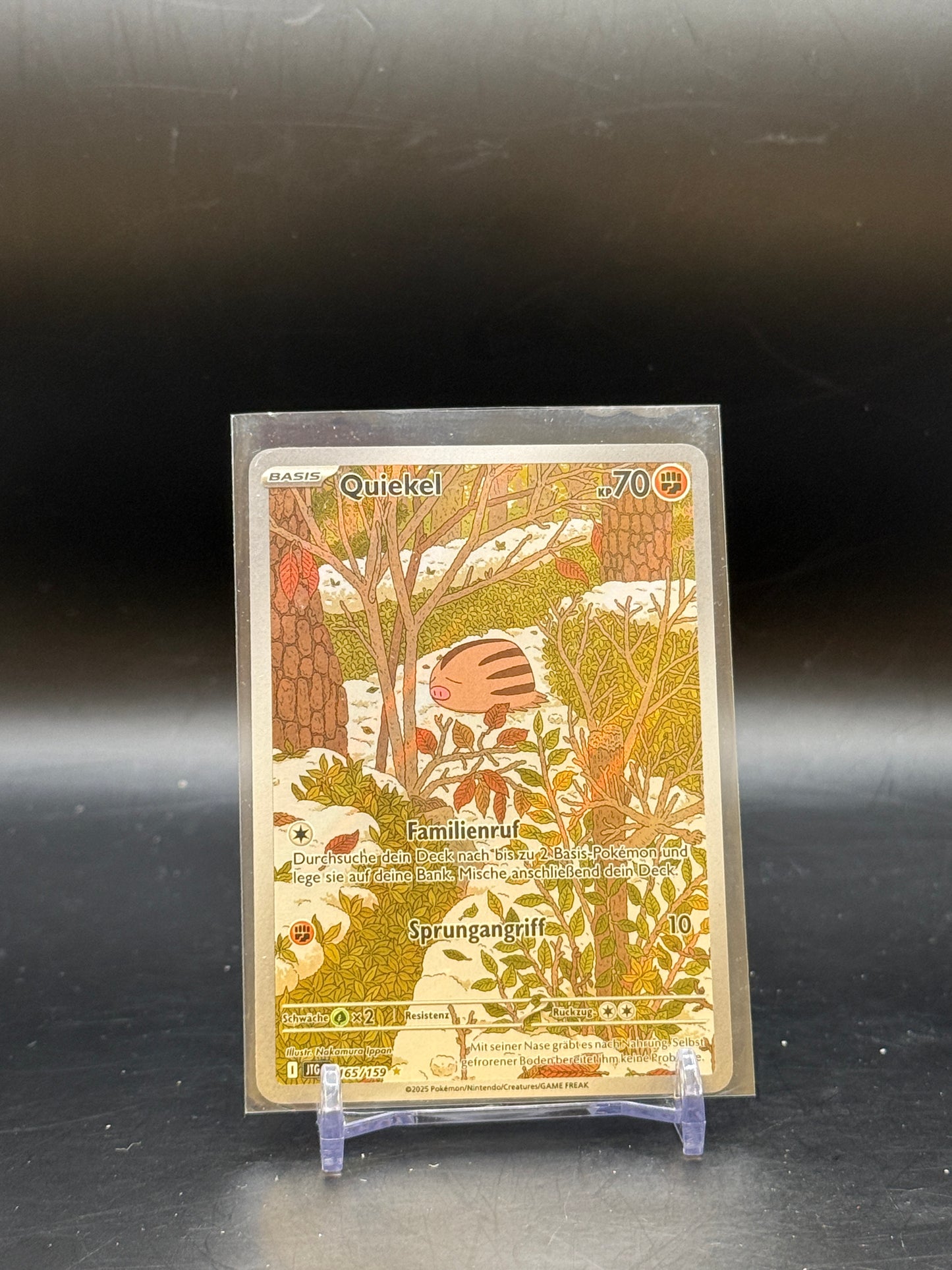 Pokemon Reisegefährten Quiekel JTG165