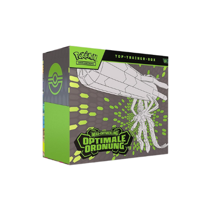 Pokemon Mega Entwicklung Optimale Ordnung Top Trainer Box DE